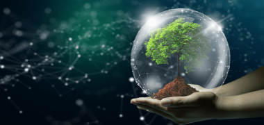inovacao verde economiapr