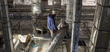 insumo saude animal economiapr