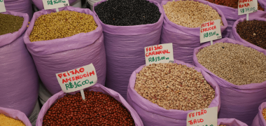 lideranca nacional feijao economiapr