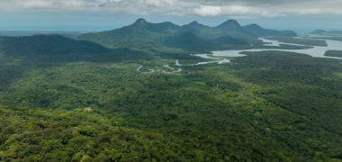 mater natura economiapr