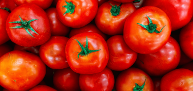 produtividade do tomate economiapr
