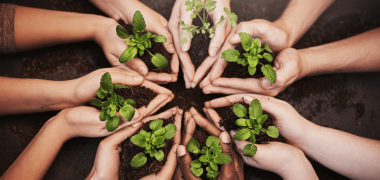 responsabilidade ambiental economiapr