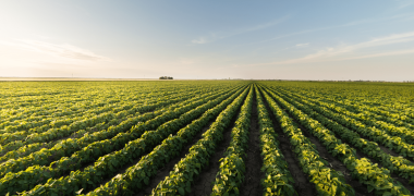 tecno agro economiapr
